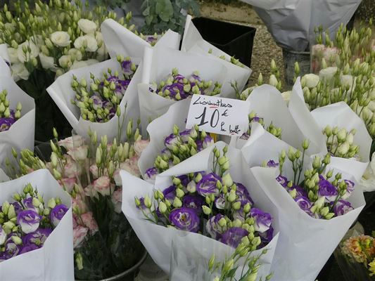 Buket blomster – den perfekte gave til enhver lejlighed